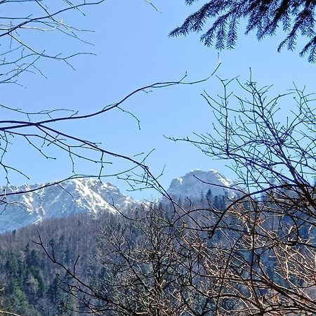 Apartamento Długoszówka Zakopane Exterior foto